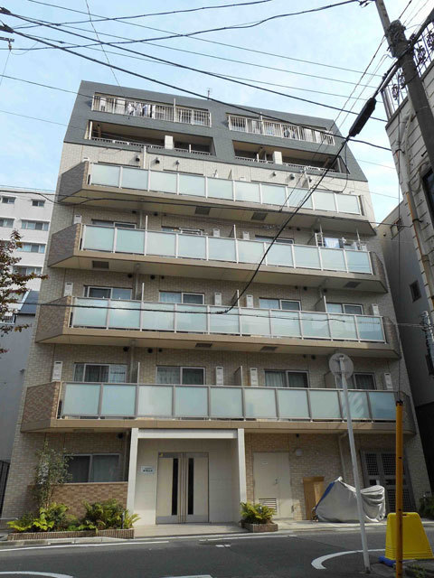 アルテシモステラ